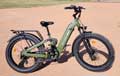 bee cool ebike