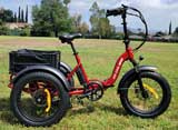 Beecool Bee Zipper eTrike