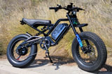 diton 9 ebike
