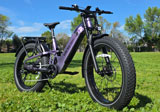 hiboy ex 11 ebike