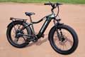 Mokwheel E-bike