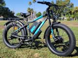 Pujh PU2 Ebike