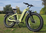 Tenvels Electric Bikes